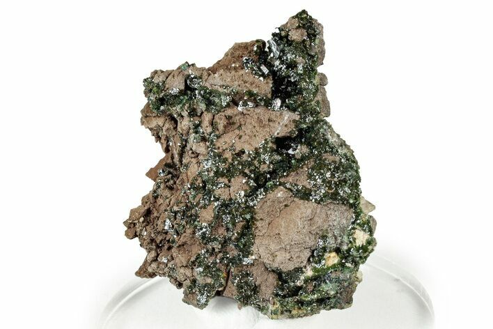 Forest-Green Libethenite Crystal Cluster - Congo-Brazzaville #332885